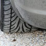 Choisir le sapin de Noël parfait